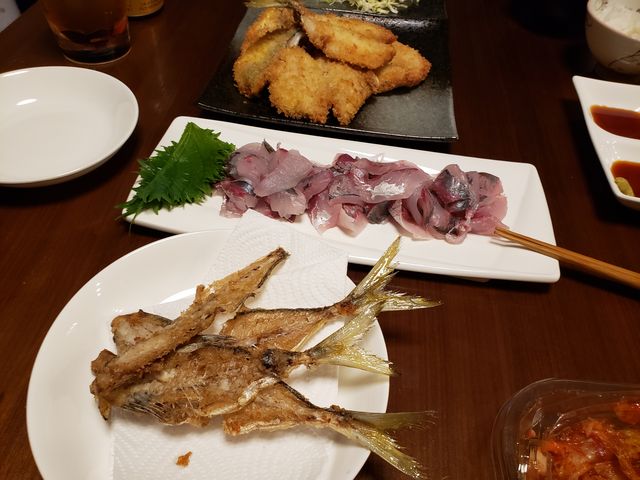 �ނ肽�Ă̋��͔�������_�H�c�ޑD�`����