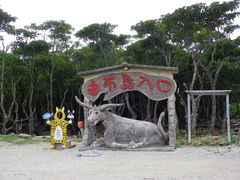 ݂䂫̐Ί_h[όւ̓eʐ^1