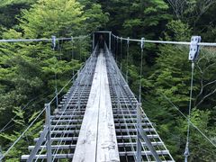 ����������̎ʐ^1