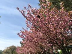 ̉w ݂ȂݐIsق̎ʐ^1