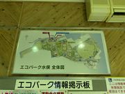 panchan̓̉w݂Ȃ܂̓eʐ^2