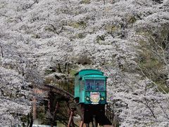 船岡城址公園スロープカー アクセス 営業時間 料金情報 じゃらんnet