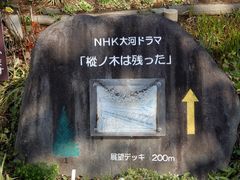 V񂳂̑D隬̞m؂ւ̓eʐ^1