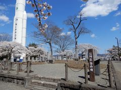 坊ちゃんさんの角田市の桜の投稿写真1