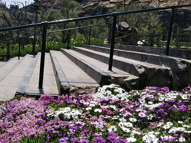 �f�B�Y�j�[�V�[�͂��ꂢ�Ȃ��Ԃ��������񂠂�܂�_�����f�B�Y�j�[�V�[(R)