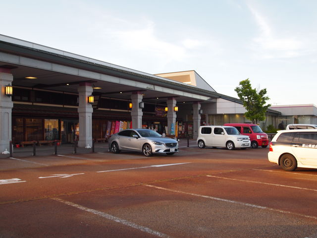 ˂񂳂̓̉wt̗̓eʐ^2