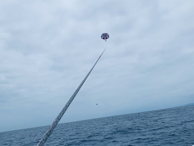 �D����̎ʐ^_MarinChu