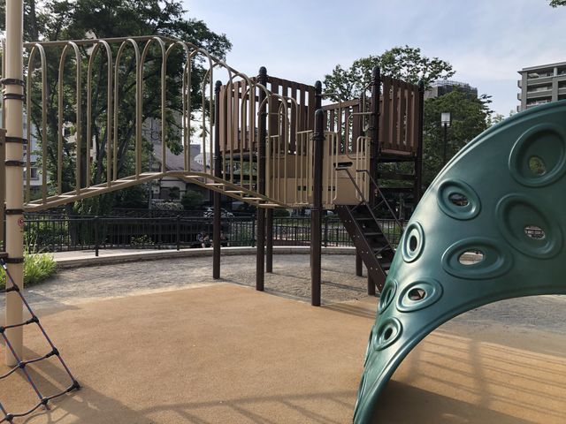 8΂̎q͂A5΂̖y߂܂I_򕌌