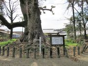 ������񂳂�̏��k�̃N�X�̓��e�ʐ^3