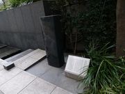 �g�����\����̖������؉��̈�˂̓��e�ʐ^1