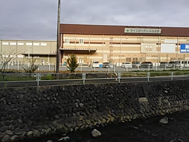 ݂̃T[eBACXN[CtK[fɂ炳Xi31 Baskin-Robbinsj̓eʐ^1