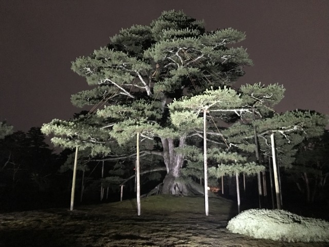 ���㏼_�����̏��i���Z���j