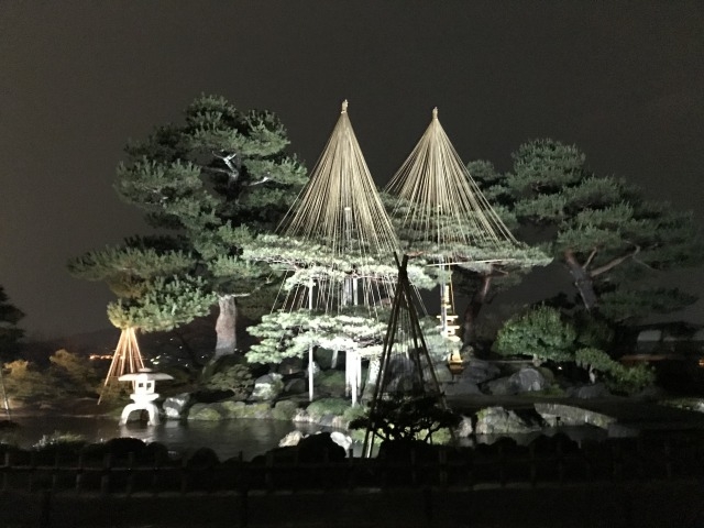 �����_�R_�����_�R(���Z���j