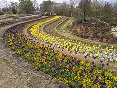 ݂̎Rt[Z^[EnCW̑ւ̓eʐ^1