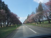 JoeBlack̓\ԓH̓eʐ^1