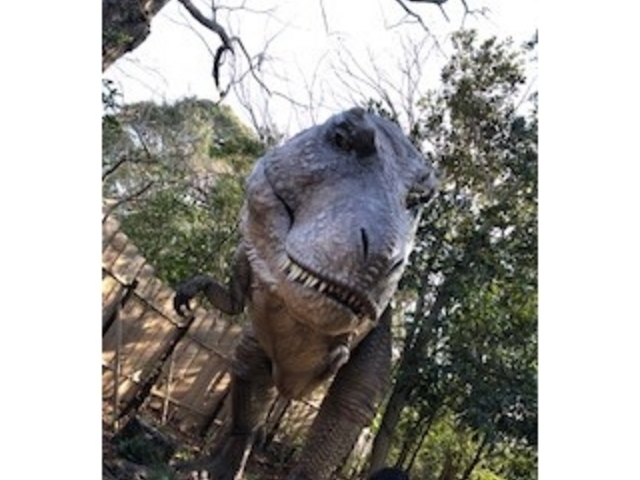 ���͂̃e�B���m�͓����܂�_�卂�Βn