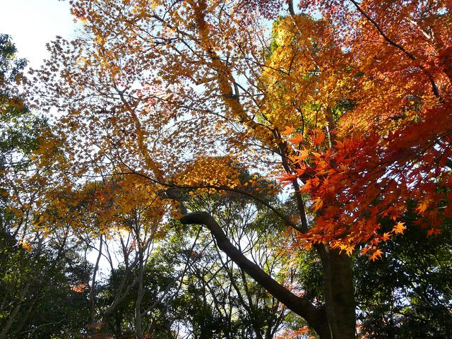 �g�t_�O���s�������@�y����