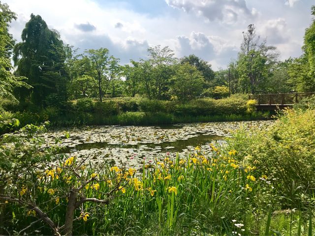 �y�����t���[�����K�[�f���A���W�F�z�r�Ɖ��F���A�C���X_�����t���[�����K�[�f���A���W�F