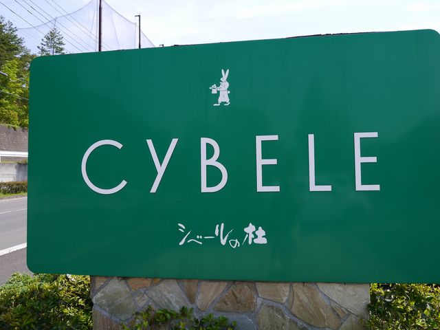 �Ŕ�_�V�x�[���̓m �쒆�R�X