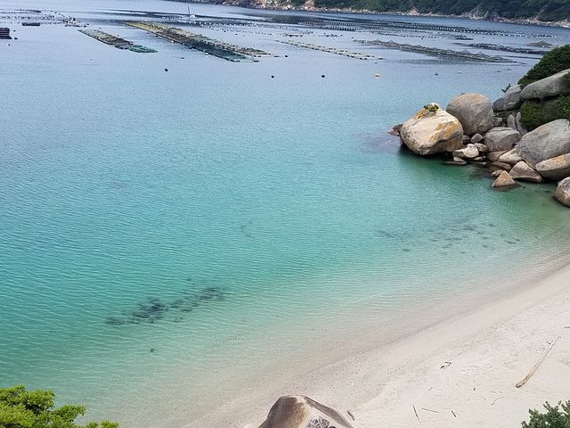 �����ɓn���O�̔��l�C��_���O�[�����[�V���O