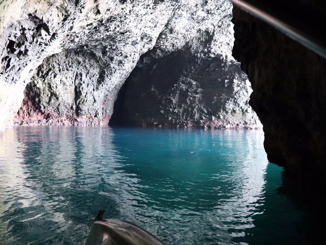 �Y��ȃu���[�I_�̓��A�@���M�O���X�{�[�g