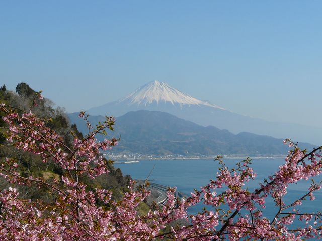 ���ƕx�m_�F����