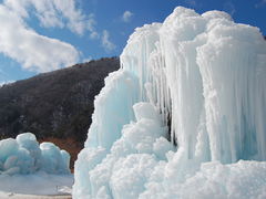 西湖野鳥の森公園の口コミ一覧 じゃらんnet