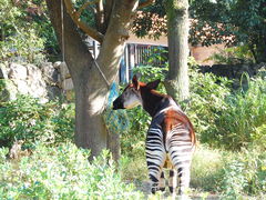 Lic����̉��l�s�����򓮕����ւ̓��e�ʐ^1