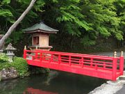 �����ނ���̊Ó�����̓��e�ʐ^2