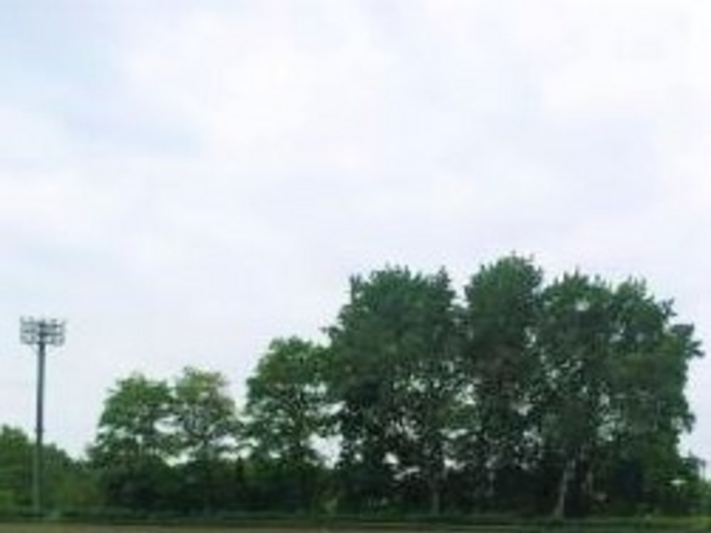 ���̏o�����싅��_���̏o����