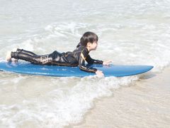 springrine surfւ̓eʐ^1