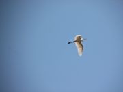 jkammy07̉H搅̓eʐ^3