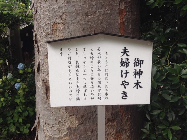 �v�w���₫_�������J�_���{