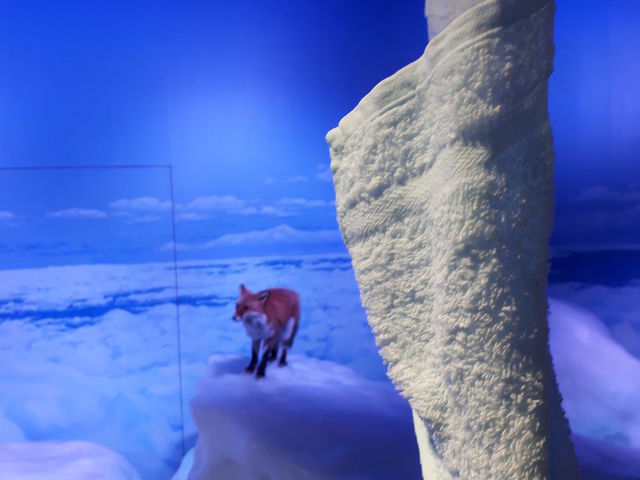 ���S�ɓ����Ă܂�_�I�z�[�c�N���X��