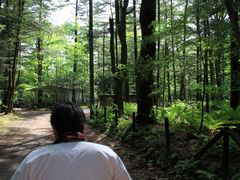 }TĽyόl͎ԂĂłւ̓eʐ^1