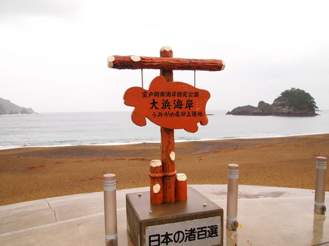 ���{�̏��S�I_��l�C�݁i���������g���j