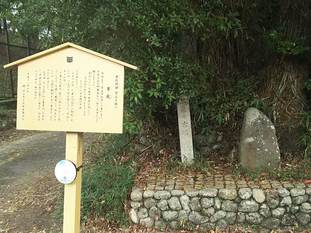 ܂[񂳂̌F\unv̓eʐ^1