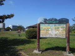 トシローさんの九十九里自然公園多目的広場の投稿写真1