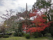 DoubleO7̈yinsj̓eʐ^5