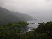 ˂񂳂̓숢gTC̓eʐ^5