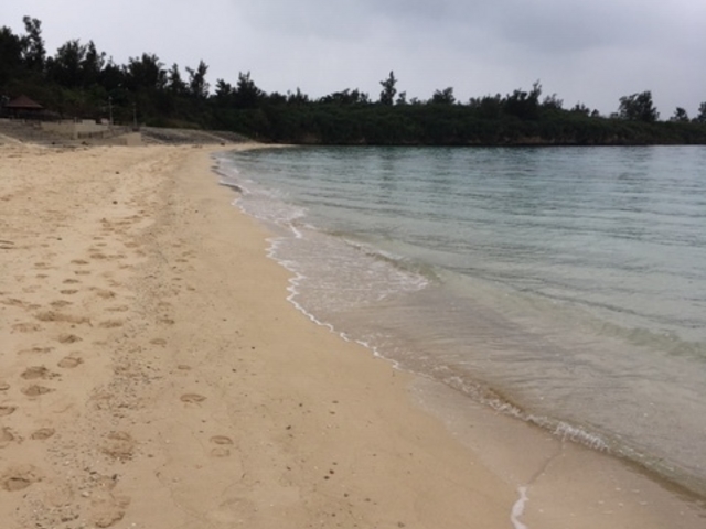 �p�C�i�K�}_�p�C�i�K�}�r�[�`