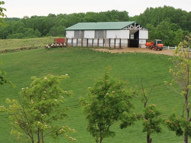 �ŏ��͗r�͂��܂肢�Ȃ���_�m�ʂ߂�r�q��