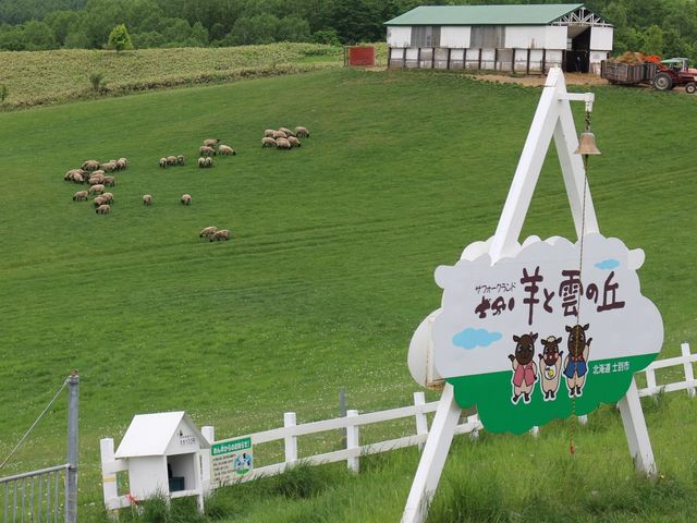 �P���Ԍ�ɂ͗r���q���_�m�ʂ߂�r�q��