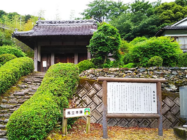 ˂񂳂̔n{wՂ̓eʐ^1