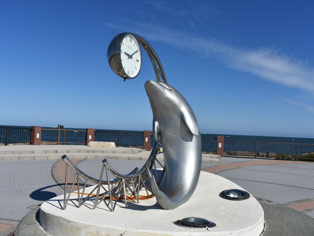 �ʐ^_�m�V���b�v��