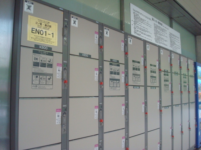 �]�m�d���D���̃R�C�����b�J�[_����w