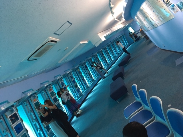 �C������_�{�Ó��C������