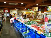 ˂񂳂̓̉w ₷̓eʐ^3