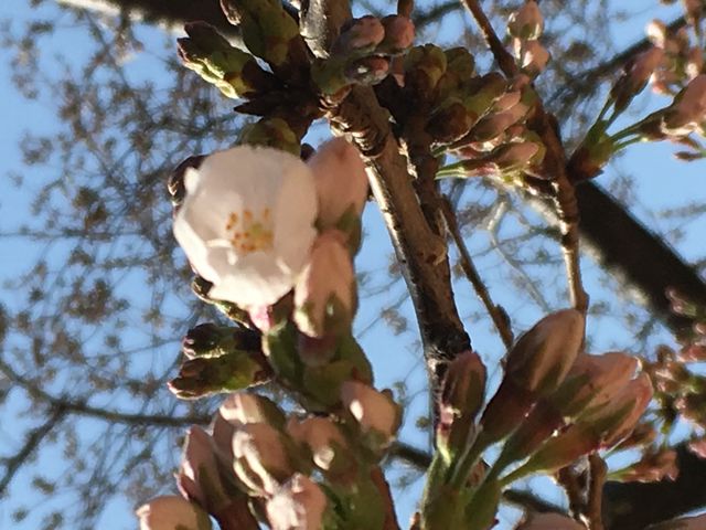 ��_�΃��u����