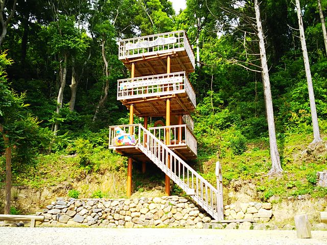 �W�]���_���z������